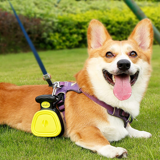 Pelle à crottes pliable pour chien environnementale promenade