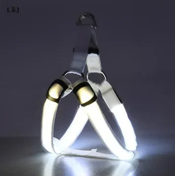 Harnais lumineux pour chien