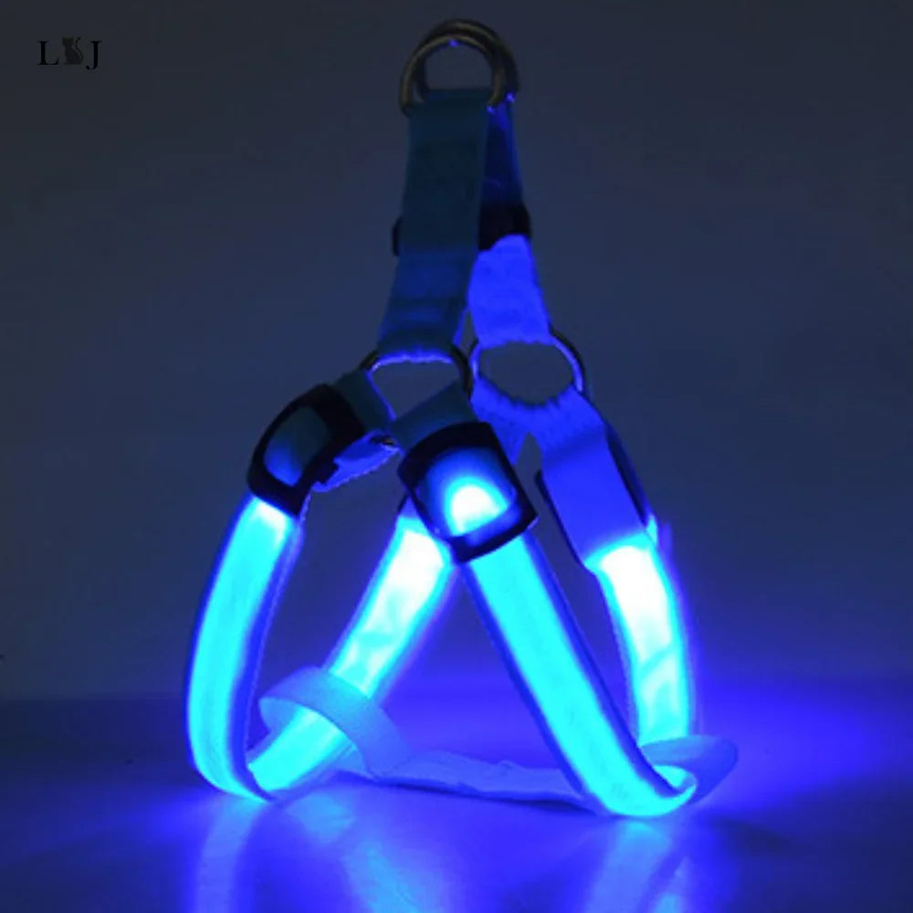Harnais lumineux pour chien