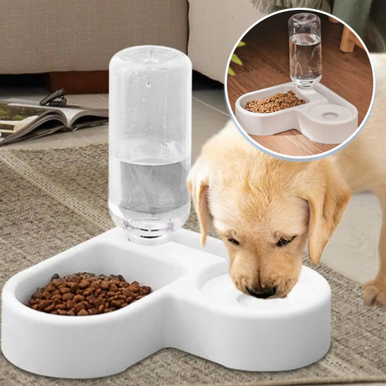 Gamelle pour Chien