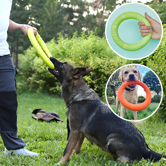 Jouets pour chiens, disque volant