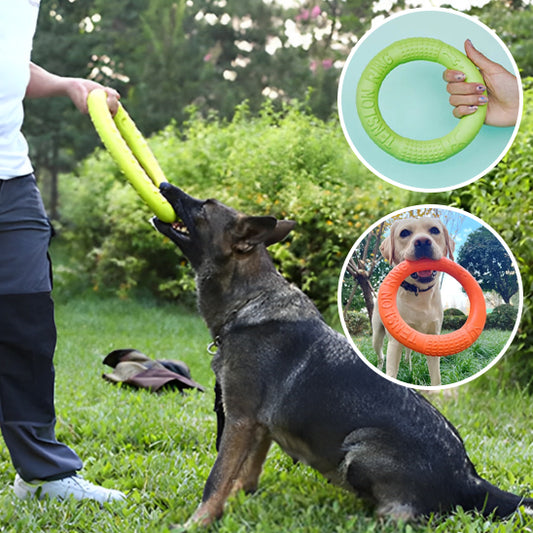 Jouets pour chiens, disque volant
