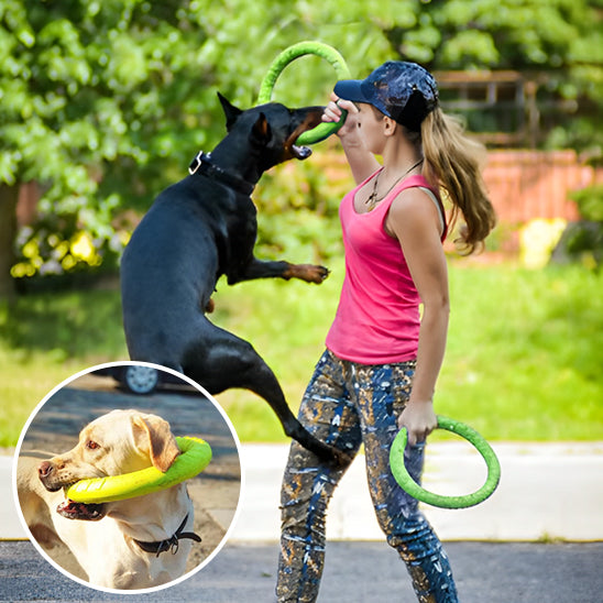 Jouets pour chiens, disque volant