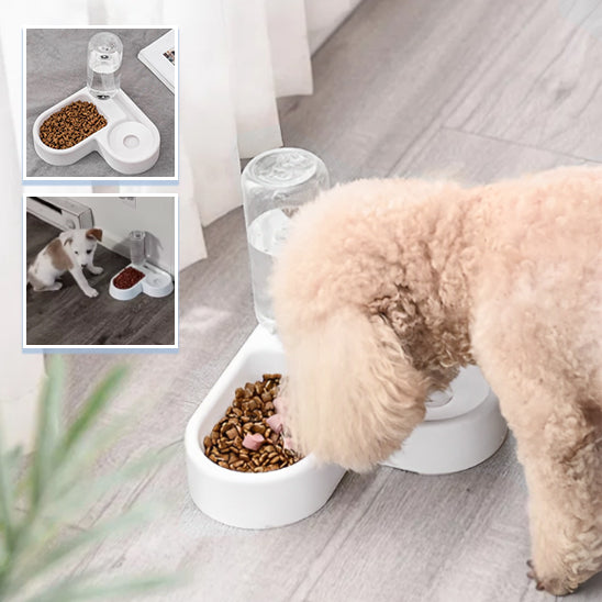 Gamelle pour Chien