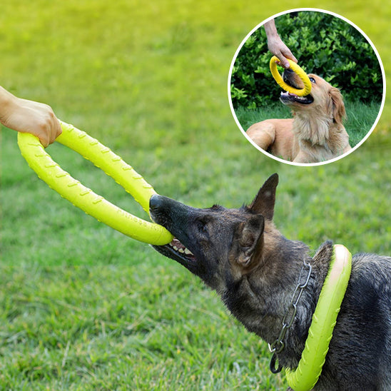 Jouets pour chiens, disque volant