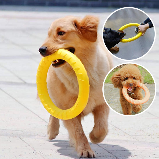 Jouets pour chiens, disque volant