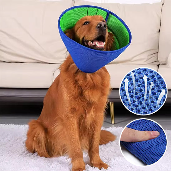 Collerette chien