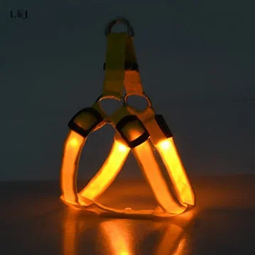 Harnais lumineux pour chien