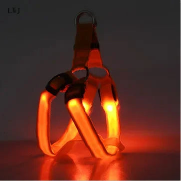 Harnais lumineux pour chien