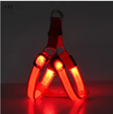Harnais lumineux pour chien