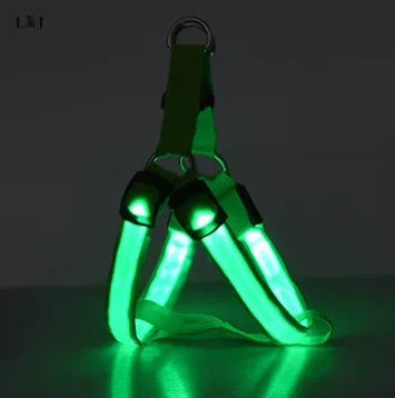 Harnais lumineux pour chien