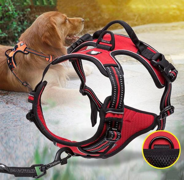 SafetyHarness™- Harnais pour animal de compagnie