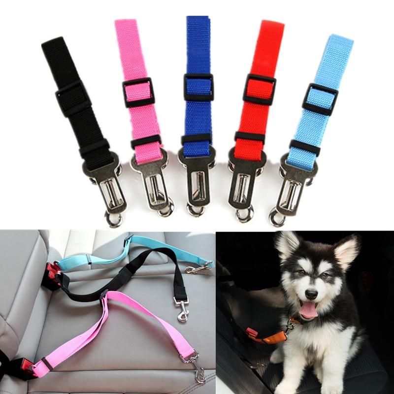 ceinture de securite pour chien en voiture