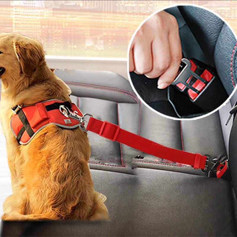 ceinture de securite pour chien en voiture