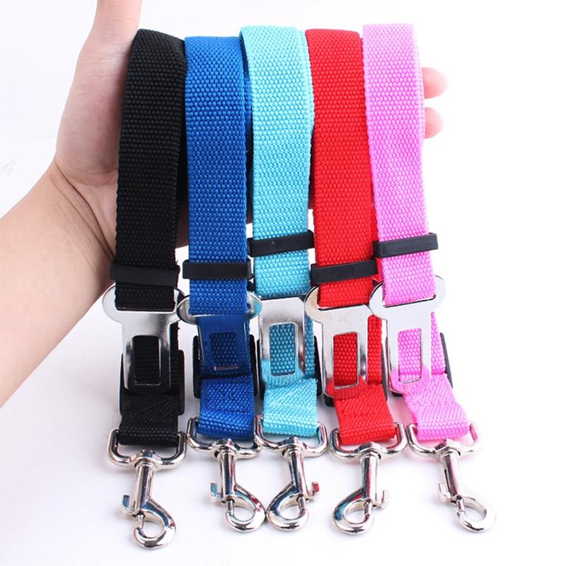 ceinture de securite pour chien en voiture