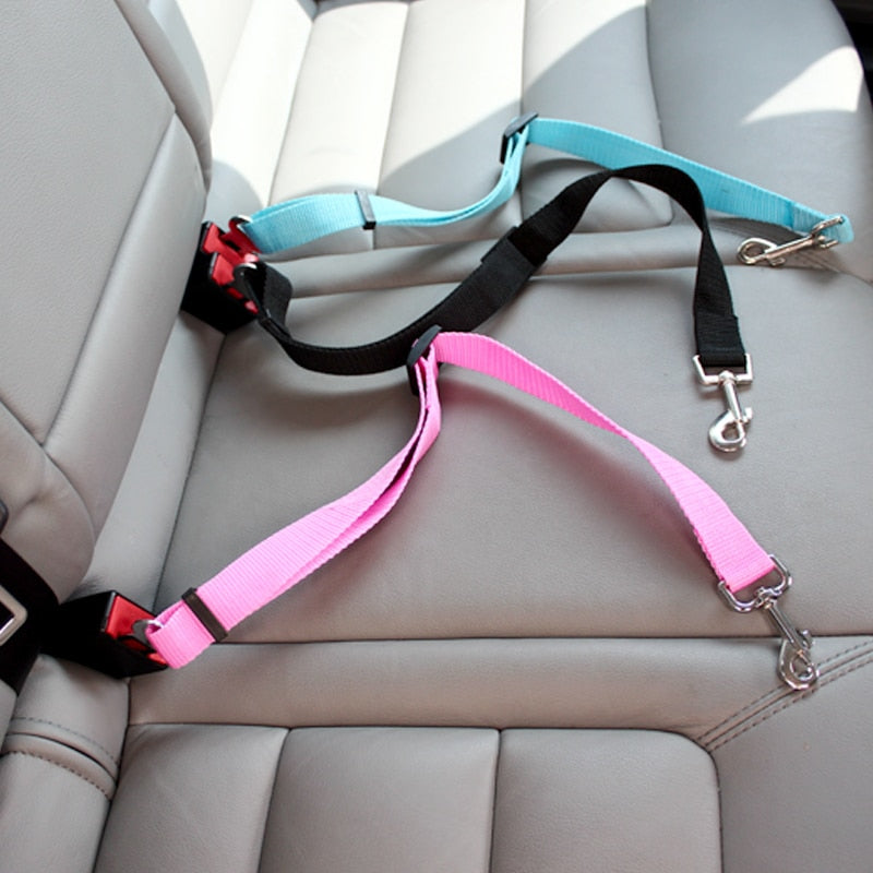 ceinture de securite pour chien en voiture