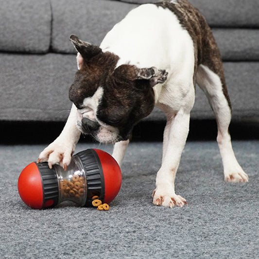 Jouet Puzzle pour Chien