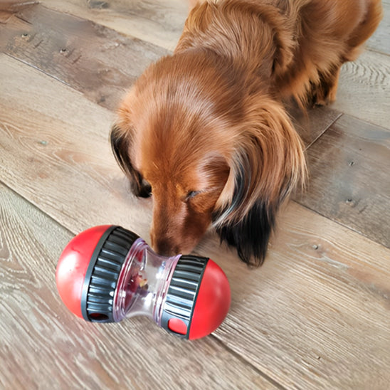 Jouet Puzzle pour Chien