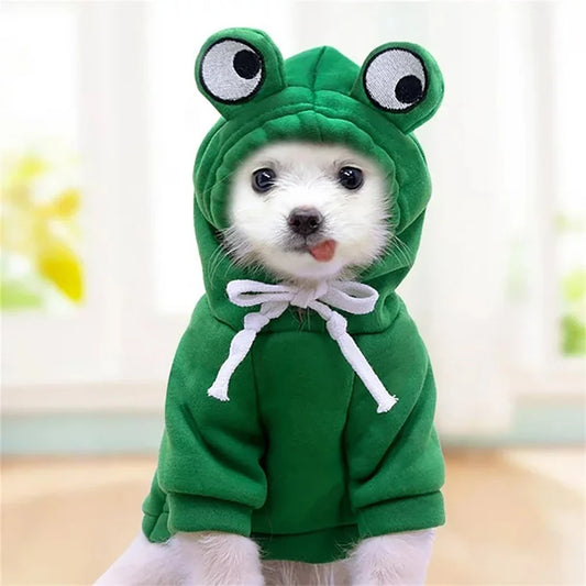 Déguisement  Grenouille Mignon Pour Chiens