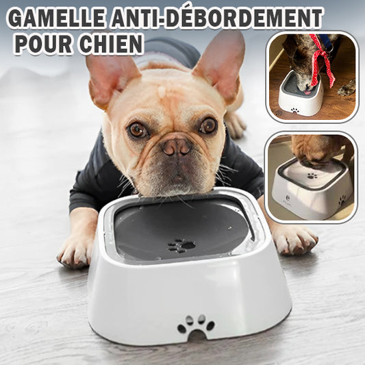 WaterBowl™   Bol pour chien