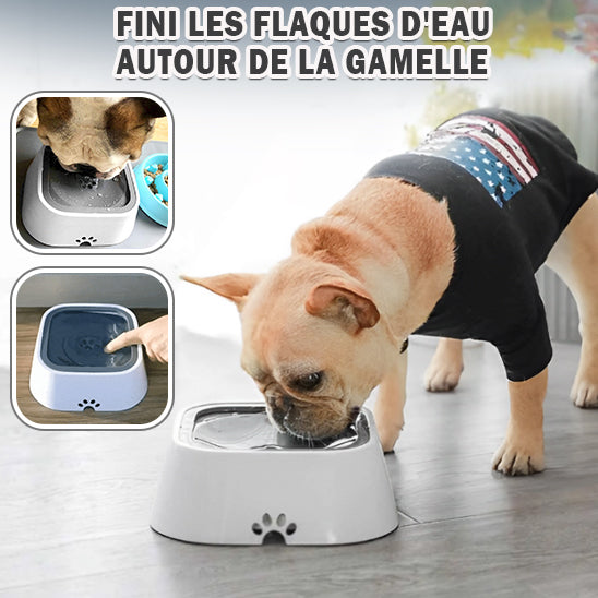 WaterBowl™   Bol pour chien