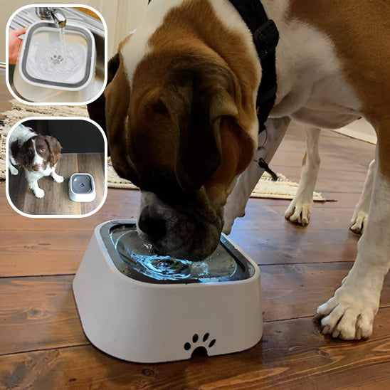 WaterBowl™   Bol pour chien