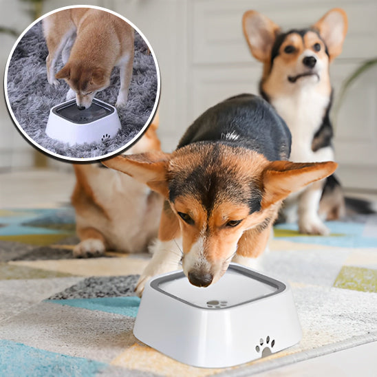 WaterBowl™   Bol pour chien