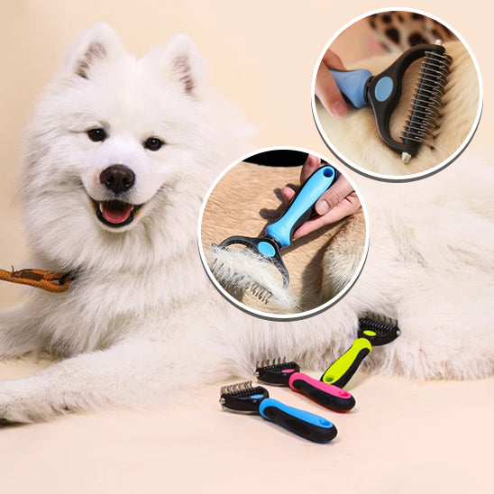 Brosse pour chien