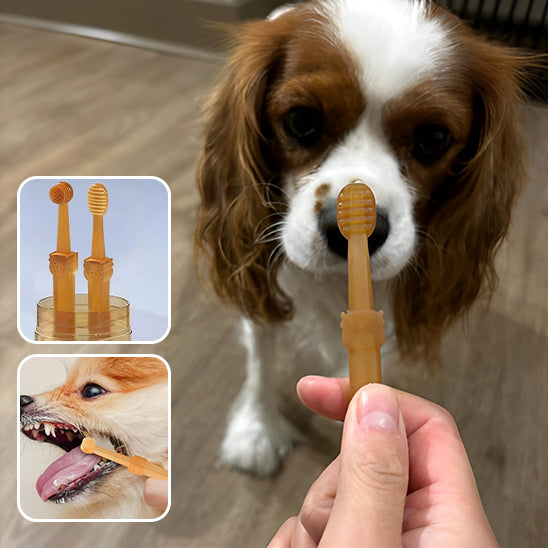 Brosse a dent chien