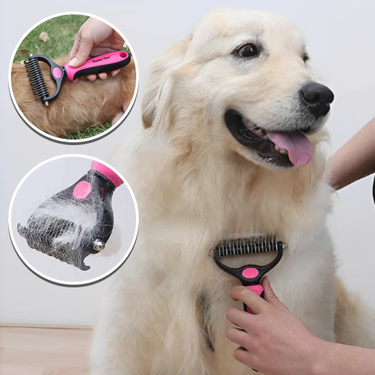 Brosse pour chien