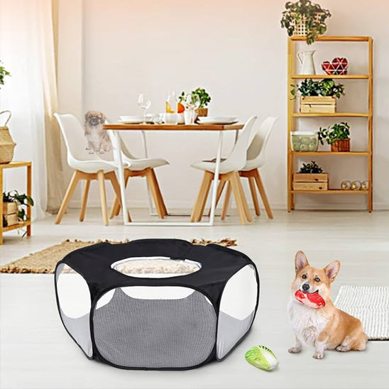 Parc pour chien intérieur sécurité partout 